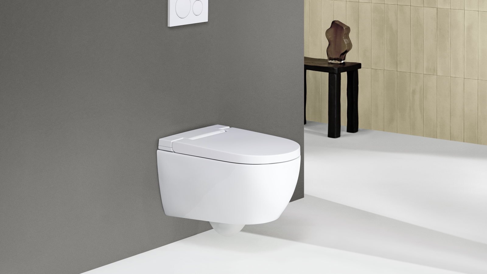 Geberit AquaClean Alba