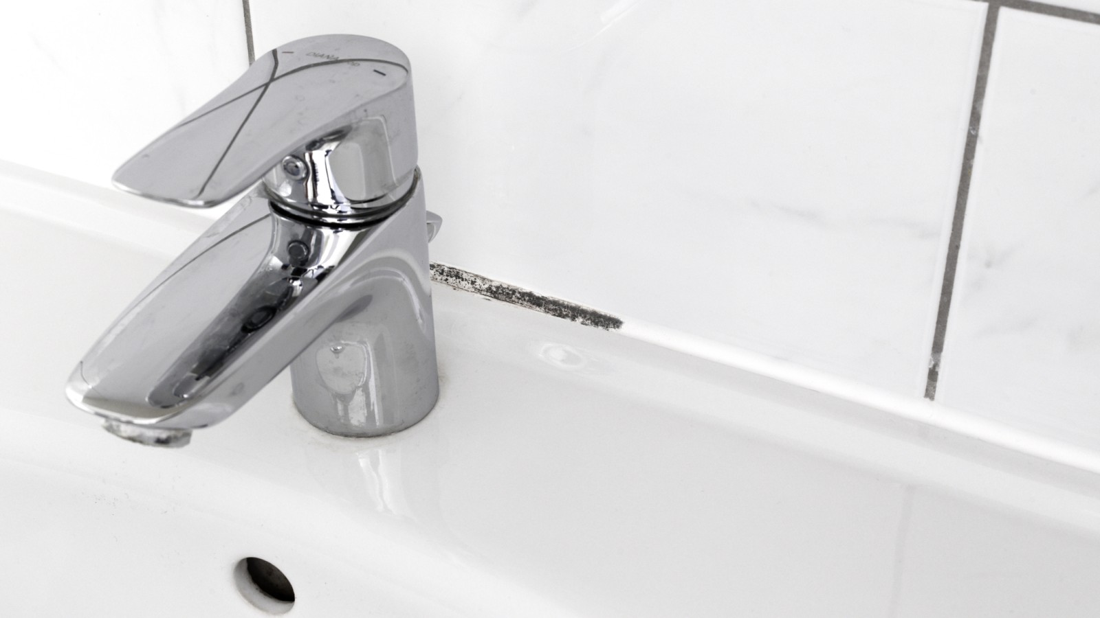 Mofo nas juntas dos azulejos Mofo nas juntas dos azulejos