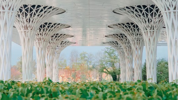 Ao longo do espetacular edifício criou-se um jardim com quase 300 m² (© Alek Małchowski) Ao longo do espetacular edifício criou-se um jardim com quase 300 m² (© Alek Małchowski)