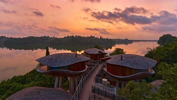 Casas inspiradas em vagens de sementes no Mandai Rainforest Resort (© Banyan Tree) Casas inspiradas em vagens de sementes no Mandai Rainforest Resort (© Banyan Tree)