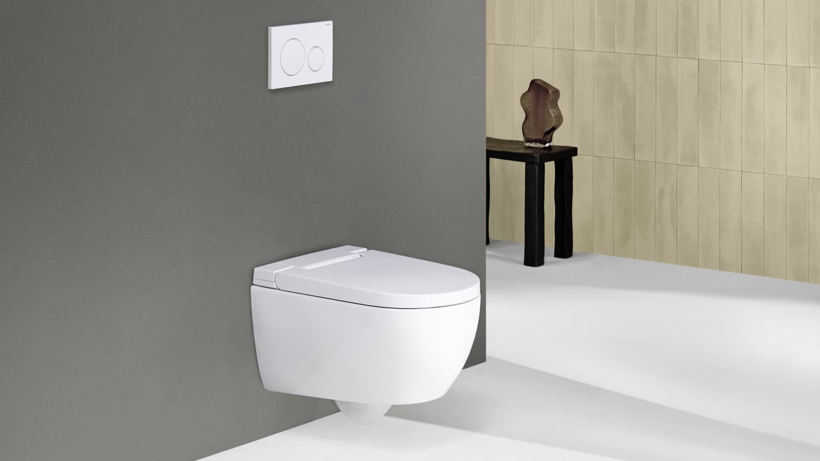 Geberit AquaClean Alba Geberit AquaClean Alba