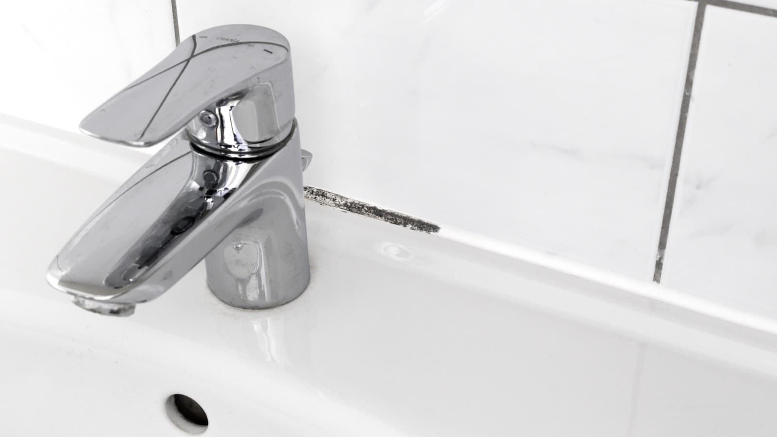 Mofo nas juntas dos azulejos Mofo nas juntas dos azulejos